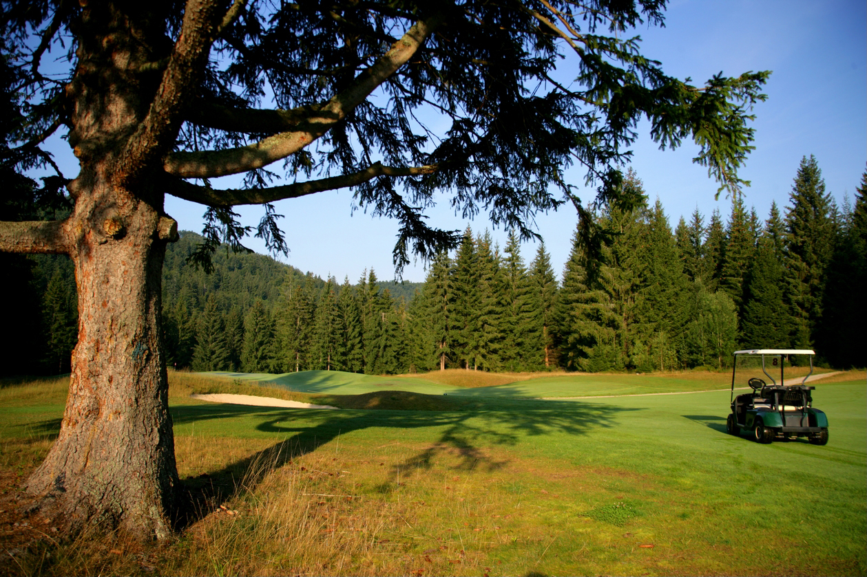 Golf Resort Tále Gray Bear 1